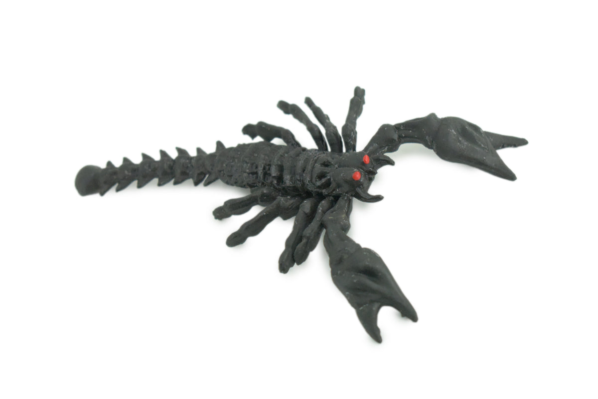 Scorpion, Black, Soft Rubber, Arachnids, Realistic Figure, Model, Replica, Toys, Kids, Educational, Gift,      5 Inches      CWG39 B217