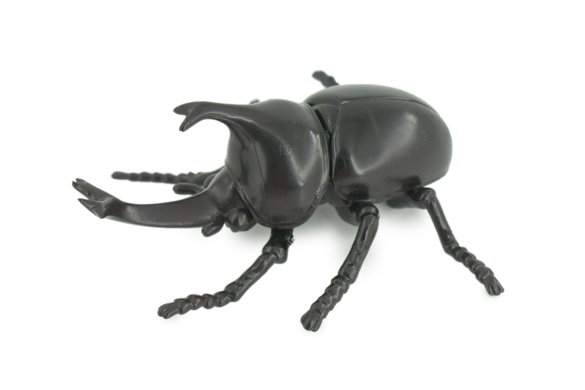 Beetle, Rhinoceros, Horned Stag Beetle, Dynastinae, Rubber Insect, Educational, Toy, Kids, Realistic Figure, Lifelike Model, Figurine, Replica, Gift,     5"     ABC17 B263