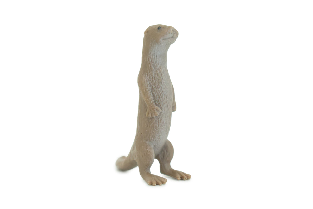 River Otter Standing, Very Nice Rubber Animal, Educational, Hand Painted, Realistic Figure, Lifelike Design, Toy, Kids, Gift,     2 Inches.   F7047 B30