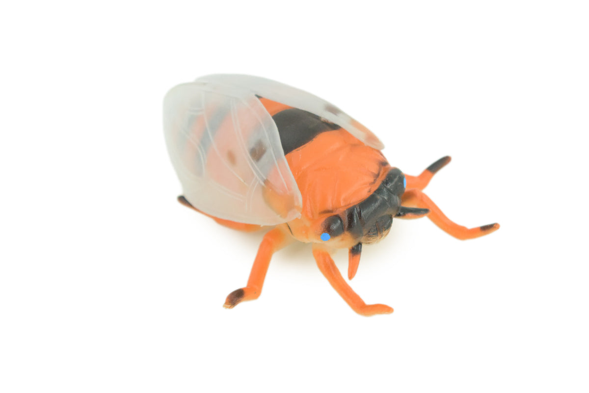 Cicada, Cicadas, Cicadoidea, Solid Rubber Insect, Educational, Toy, Kids, Realistic Figure, Lifelike Model, Figurine, Replica, Gift,      4"     ABC11 B263