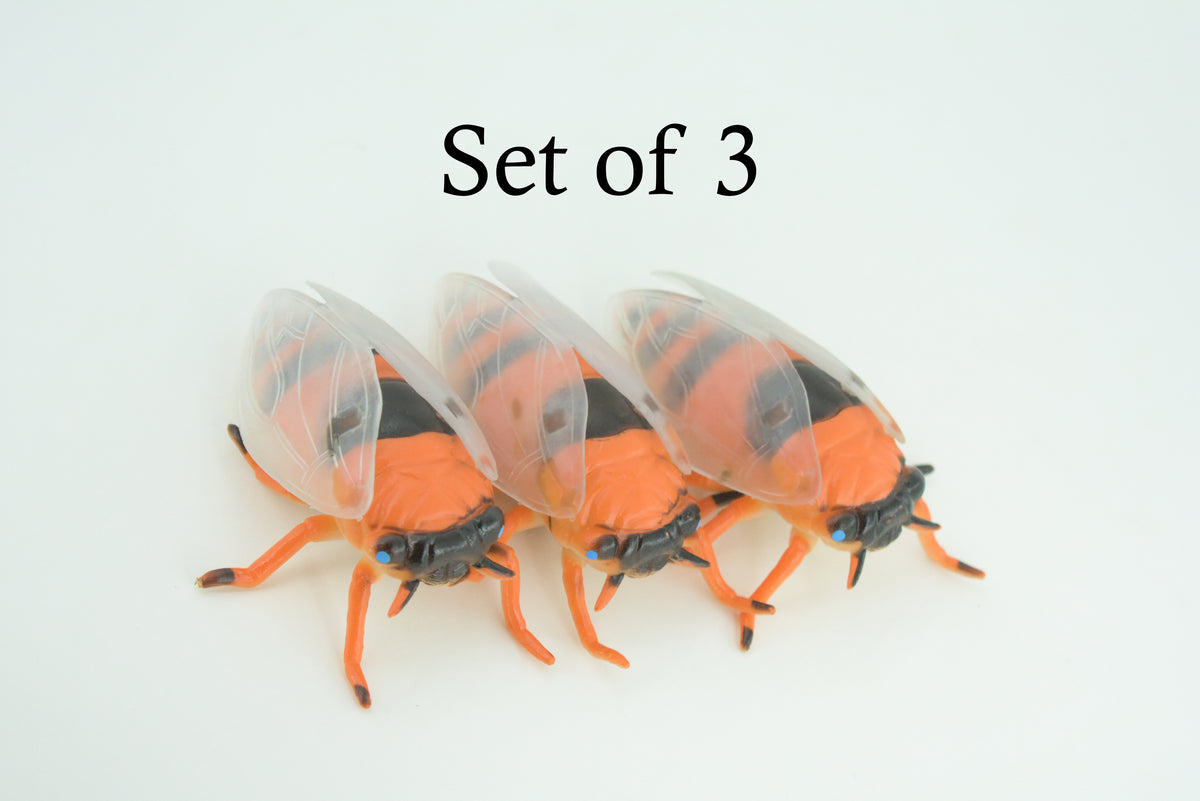 Cicada, Cicadas, Cicadoidea, Solid Rubber Insect, Educational, Toy, Kids, Realistic Figure, Lifelike Model, Figurine, Replica, Gift,      4"     ABC11 B263
