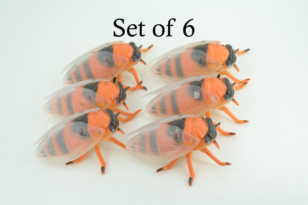 Cicada, Cicadas, Cicadoidea, Solid Rubber Insect, Educational, Toy, Kids, Realistic Figure, Lifelike Model, Figurine, Replica, Gift,      4"     ABC11 B263