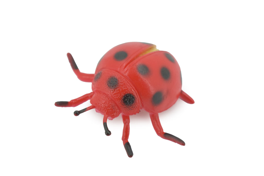 Ladybug, Beetle, Coccinellidae, Lady bug, Rubber Insect, Educational, Toy, Kids, Realistic Figure, Lifelike Model, Figurine, Replica, Gift,      3"     ABC12 B263