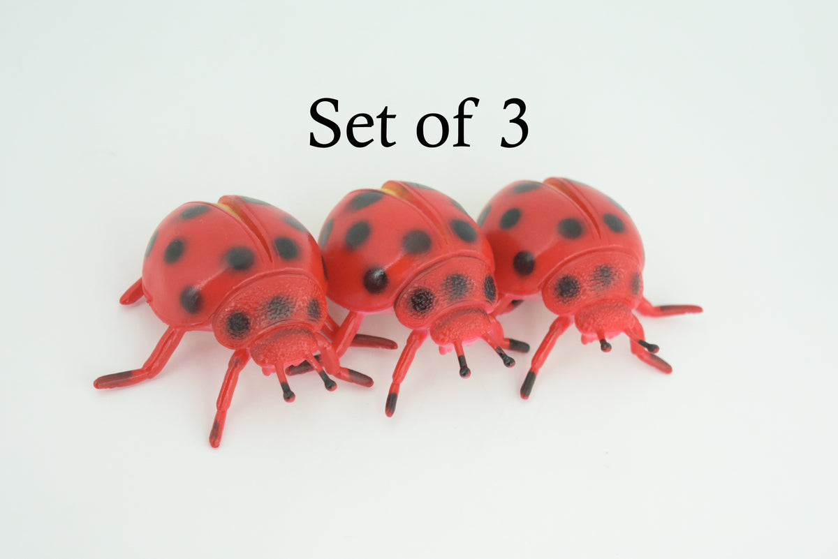 Ladybug, Beetle, Coccinellidae, Lady bug, Rubber Insect, Educational, Toy, Kids, Realistic Figure, Lifelike Model, Figurine, Replica, Gift,      3"     ABC12 B263