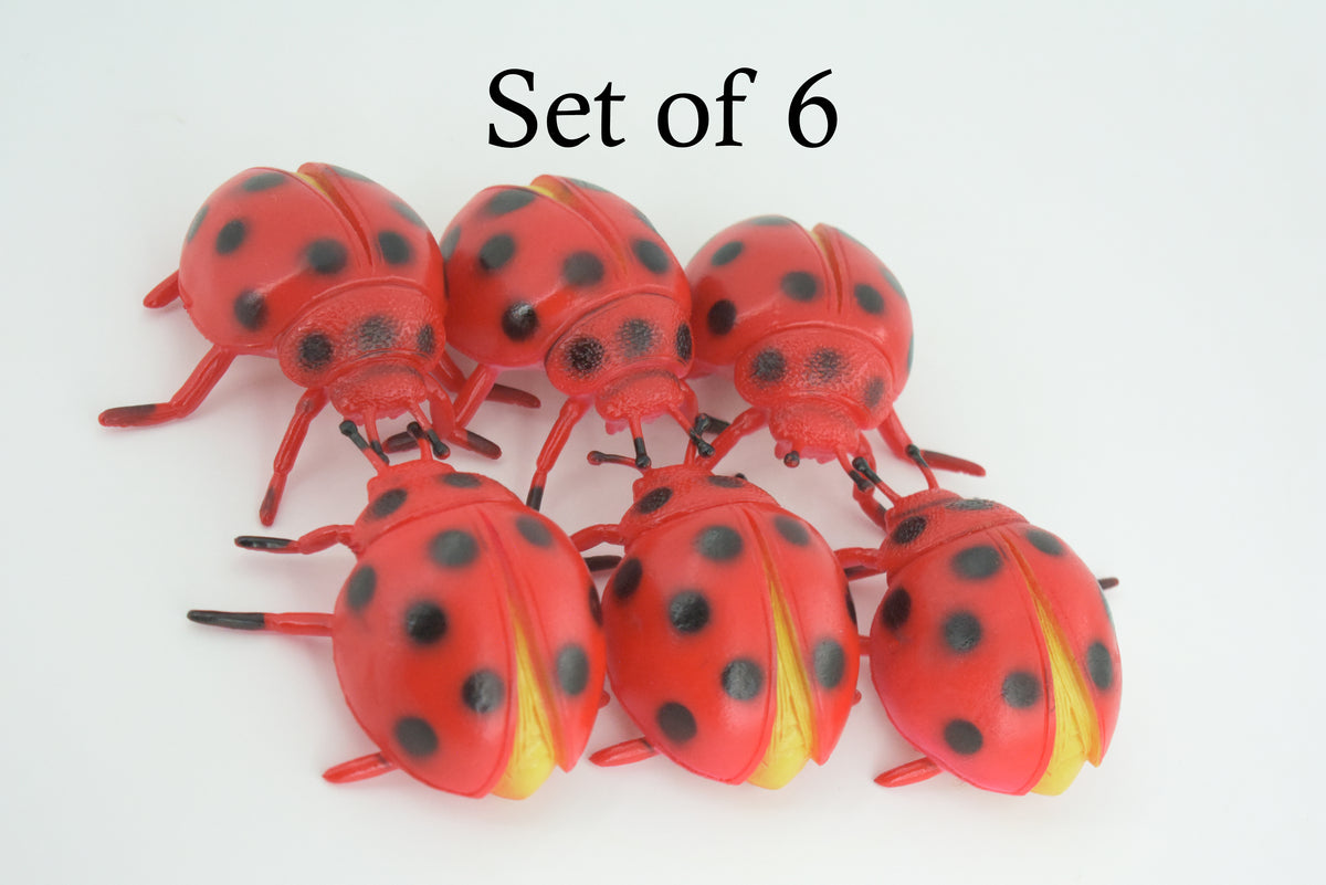 Ladybug, Beetle, Coccinellidae, Lady bug, Rubber Insect, Educational, Toy, Kids, Realistic Figure, Lifelike Model, Figurine, Replica, Gift,      3"     ABC12 B263