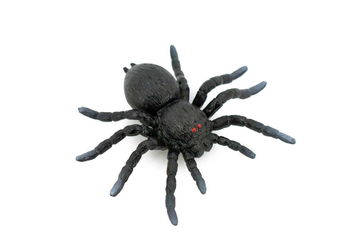 Spider, Tarantula, Theraphosidae, Solid Rubber Arachnids, Educational, Toy, Kids, Realistic Figure, Lifelike Model, Figurine, Replica, Gift,      4"     ABC16 B263