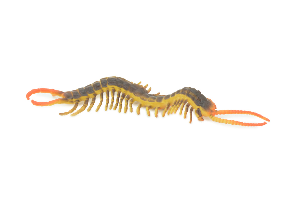Centipede, Brown, Predatory arthropods, Hand Painted, Rubber Insect, Educational, Realistic Figure, Lifelike Model, Gift,    7"    AR20 B329