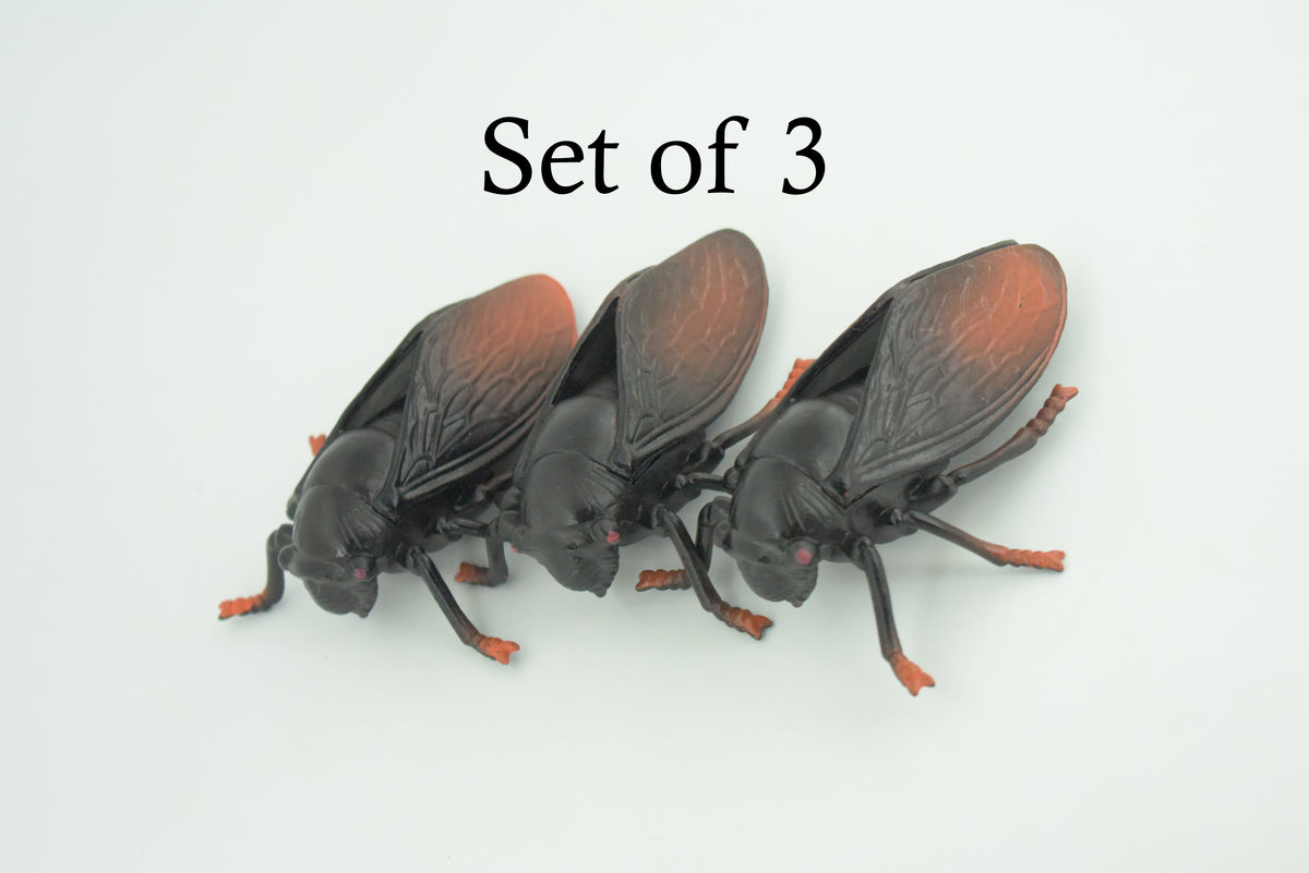 Cicada, Cicadidae, Hand Painted, Rubber Insect, Educational, Realistic Figure, Lifelike Model, Gift,   4"    AR21 B329