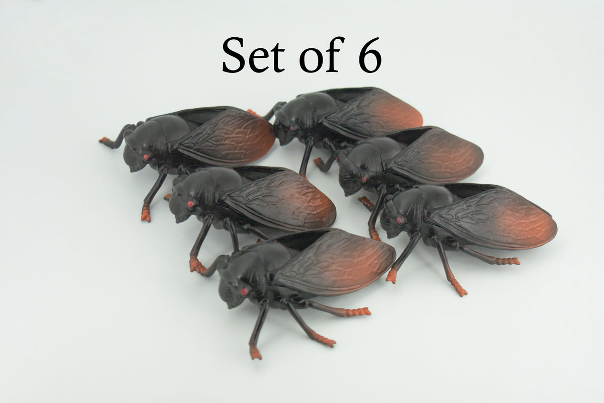 Cicada, Cicadidae, Hand Painted, Rubber Insect, Educational, Realistic Figure, Lifelike Model, Gift,   4"    AR21 B329
