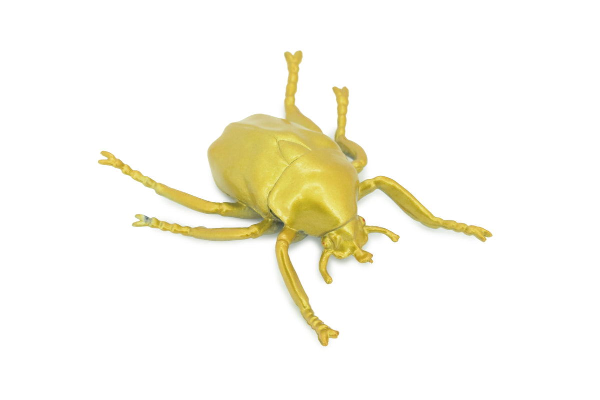 Gold Beetle, Resplendent Beetle, Hand Painted, Rubber Insect, Educational, Realistic Figure, Lifelike Model, Gift,   4 1/2"    AR22 B329
