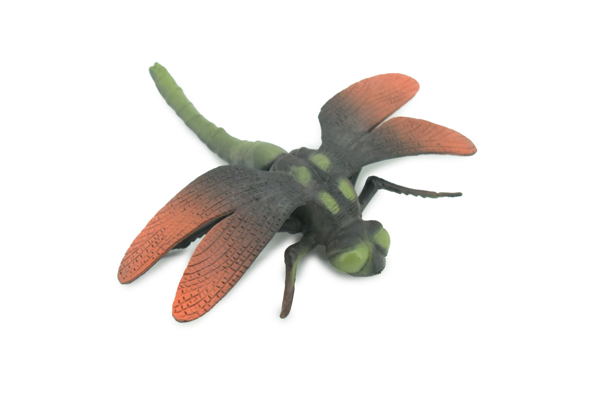 Dragonfly, Green and Red, Emerald Dragonflies, Hand Painted, Rubber Insect, Educational, Realistic Figure, Lifelike Model, Gift,   5"  AR24 B329