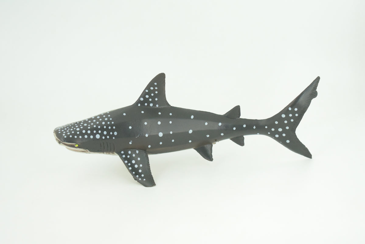 Whale Shark, Very Nice, Hand Painted, Rubber, Marine Fish, Educational, Realistic, Figure, Replica, Toy, Kids, Educational, Gift,      9"    F096 B494