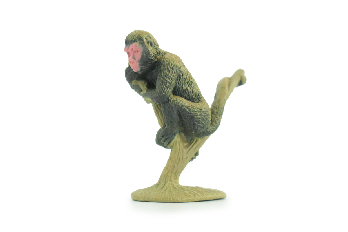 Rhesus Monkey, Rhesus Macaques, Rubber Primate, Animal, Educational, Realistic Figure, Lifelike, Model, Toys, Gift,    2 inches tall.     F1780 B122