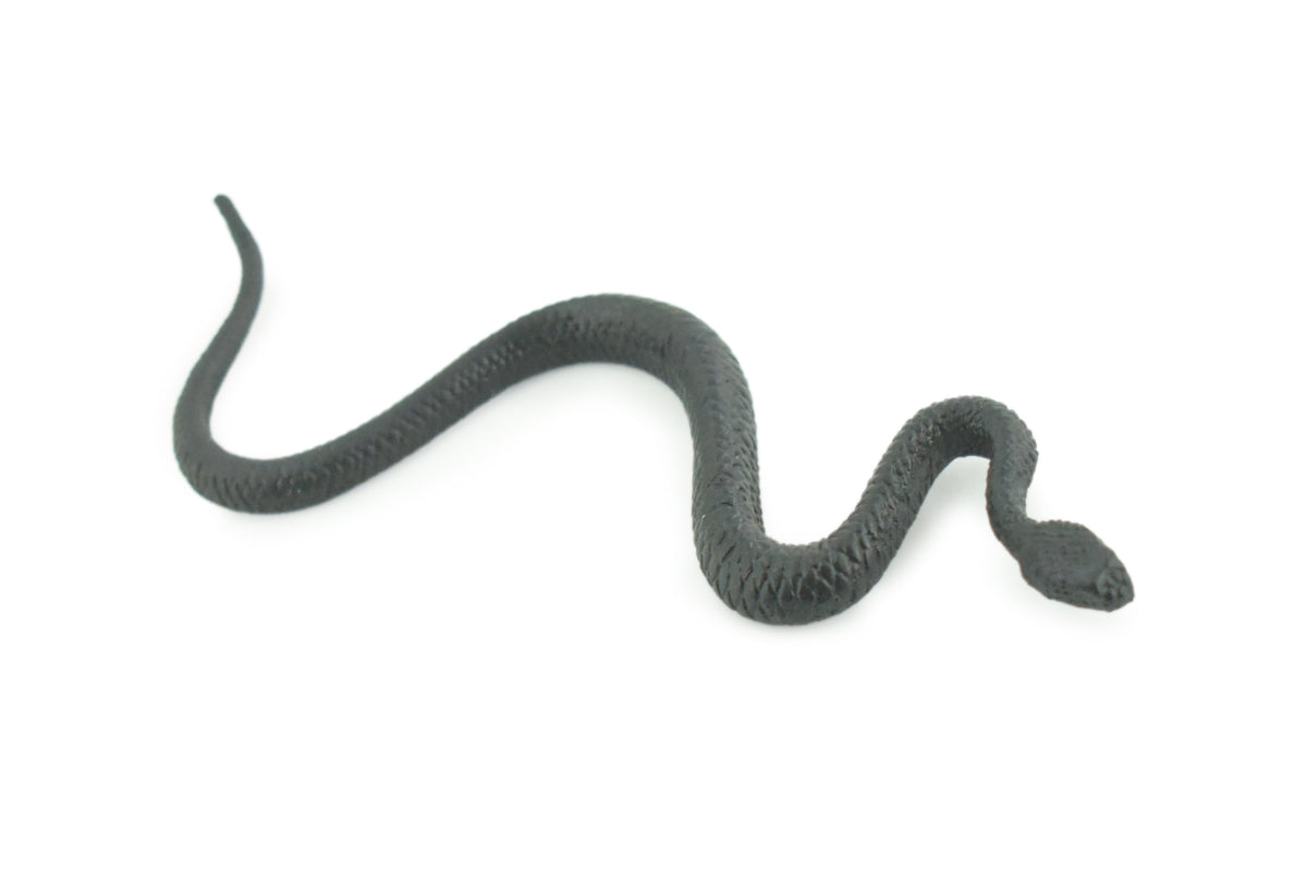 North American Racer, Snake, Rubber Reptile, Educational, Realistic Hand Painted, Figure, Lifelike Model, Figurine, Replica, Gift,    4 1/2 Inches.     F3050 B364