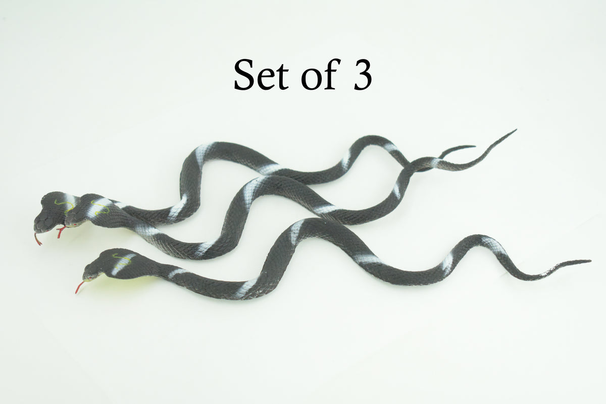 Cobra, Black and White Snake, Rubber Reptile, Educational, Realistic Hand Painted, Figure, Lifelike Model, Figurine, Replica, Gift,      9 Inches     F3594 B363