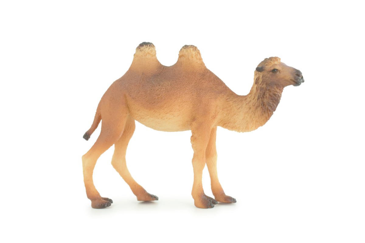 Camel, Bactrian, Mongolian camel, Very Nice Plastic Design, Animal Figure, Educational, Figure, Lifelike, Diorama Model, Figurine, Replica, Toy, Gift,   4 Inches.      CWG172 BB40