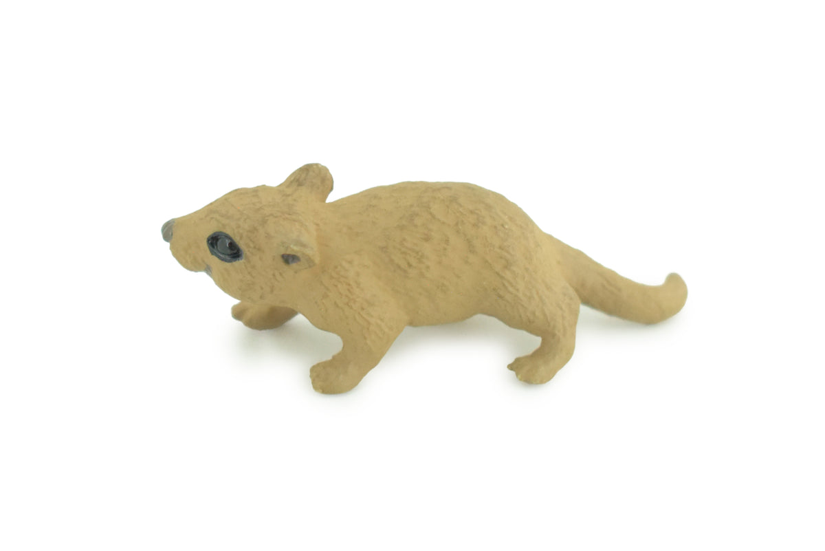 Mouse, Hand Painted, High Quality Rubber Rodent, Realistic House Mouse, (Mus musculus), Diorama Design, Educational, Toys, Kids, Gift,    1 3/4 Inches.  CH1032 BB218
