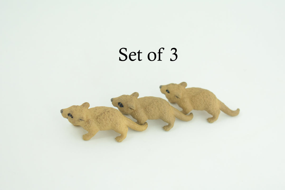 Mouse, Hand Painted, High Quality Rubber Rodent, Realistic House Mouse, (Mus musculus), Diorama Design, Educational, Toys, Kids, Gift,    1 3/4 Inches.  CH1032 BB218