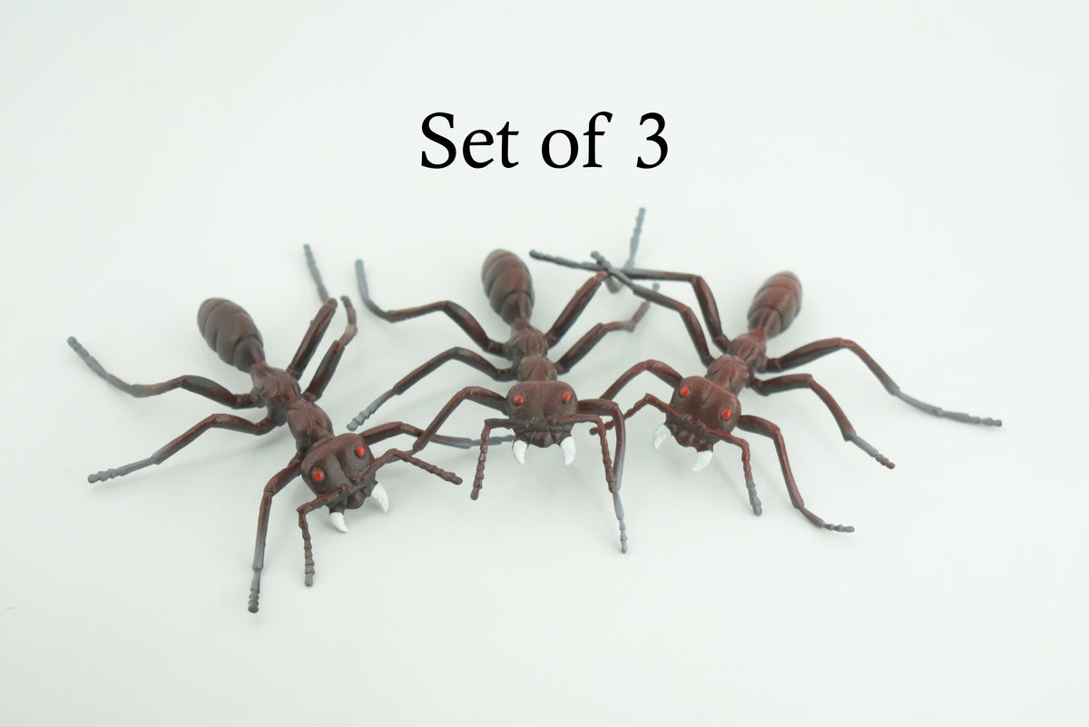 Ant, Carpenter Ant, Rubber Insect, High Quality, Hand Painted,  Realistic, Figure, Diorama Model, Replica, Toy, Kids, Educational, Gift,       3 1/2 Inches    CWG215 B37
