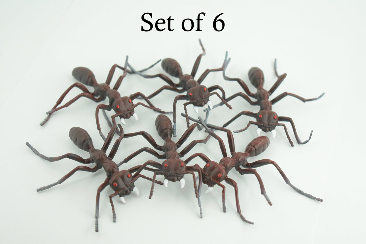 Ant, Carpenter Ant, Rubber Insect, High Quality, Hand Painted,  Realistic, Figure, Diorama Model, Replica, Toy, Kids, Educational, Gift,       3 1/2 Inches    CWG215 B37