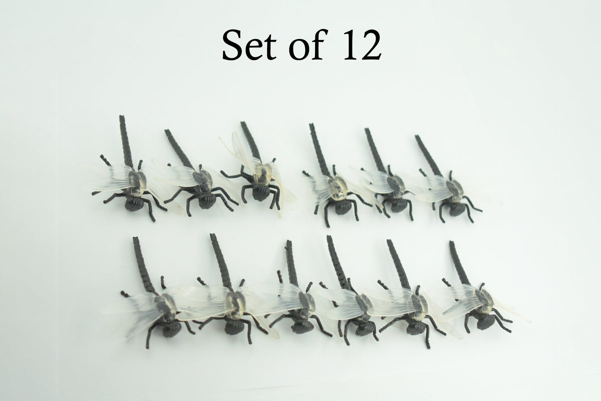 Dragonfly, Black with White Wings, Rubber Insect, High Quality, Hand Painted, Realistic, Diorama Model, Toy, Kids, Educational, Gift,    2 1/2 Inches   CWG219 B74