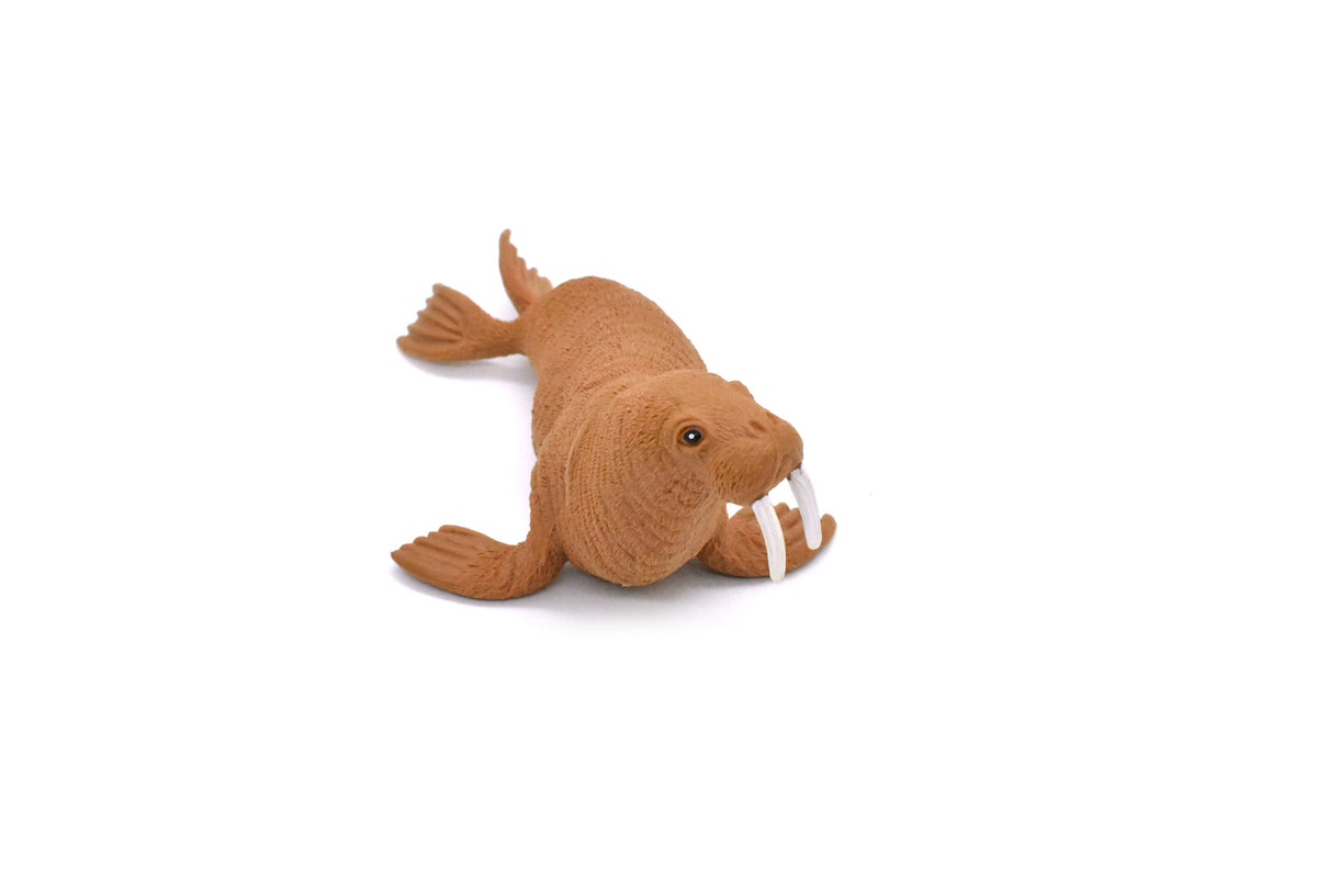 Walrus, Marine Mamma, Very Nice Design, Hand Painted, Rubber Animal, Educational, Diorama Model, Realistic Figure, Figurine, Replica, Toy, Kids, Gift,    5 Inches.  F474 B5