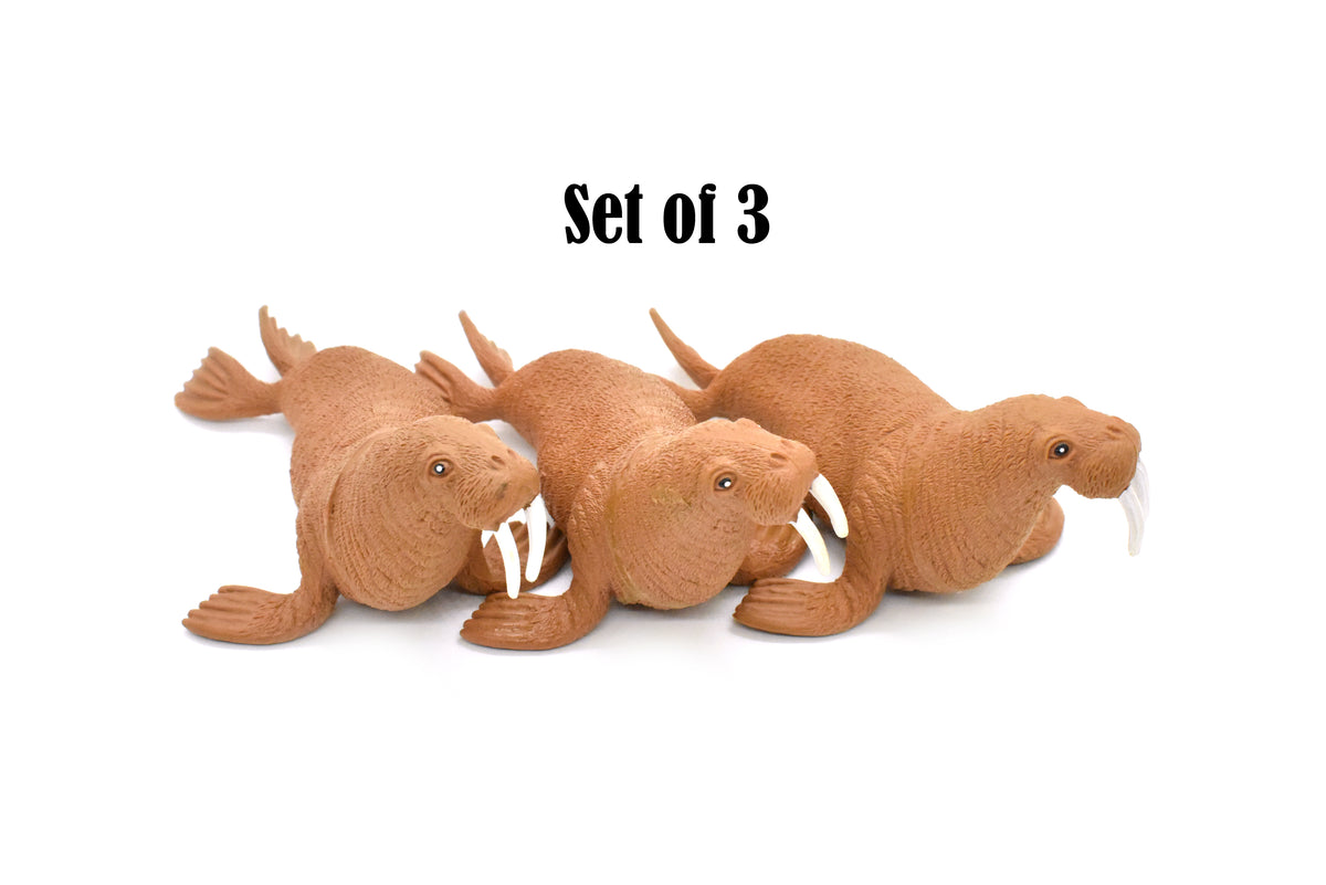 Walrus, Marine Mamma, Very Nice Design, Hand Painted, Rubber Animal, Educational, Diorama Model, Realistic Figure, Figurine, Replica, Toy, Kids, Gift,    5 Inches.  F474 B5