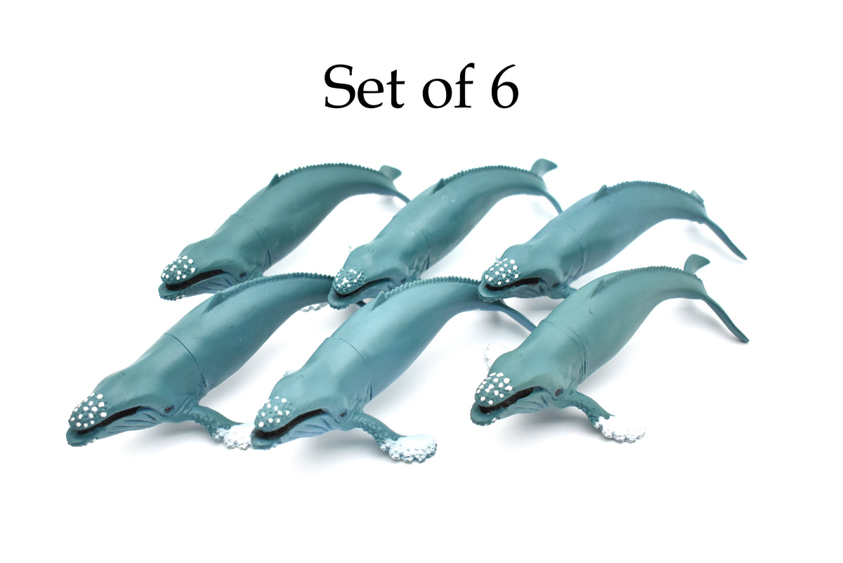Humpback Whale, Marine Mammal, Very Nice Design, Hand Painted, Rubber, Educational, Diorama Model, Realistic Figure, Figurine, Replica, Toy, Kids, Gift,    6 Inches.    F473 B5