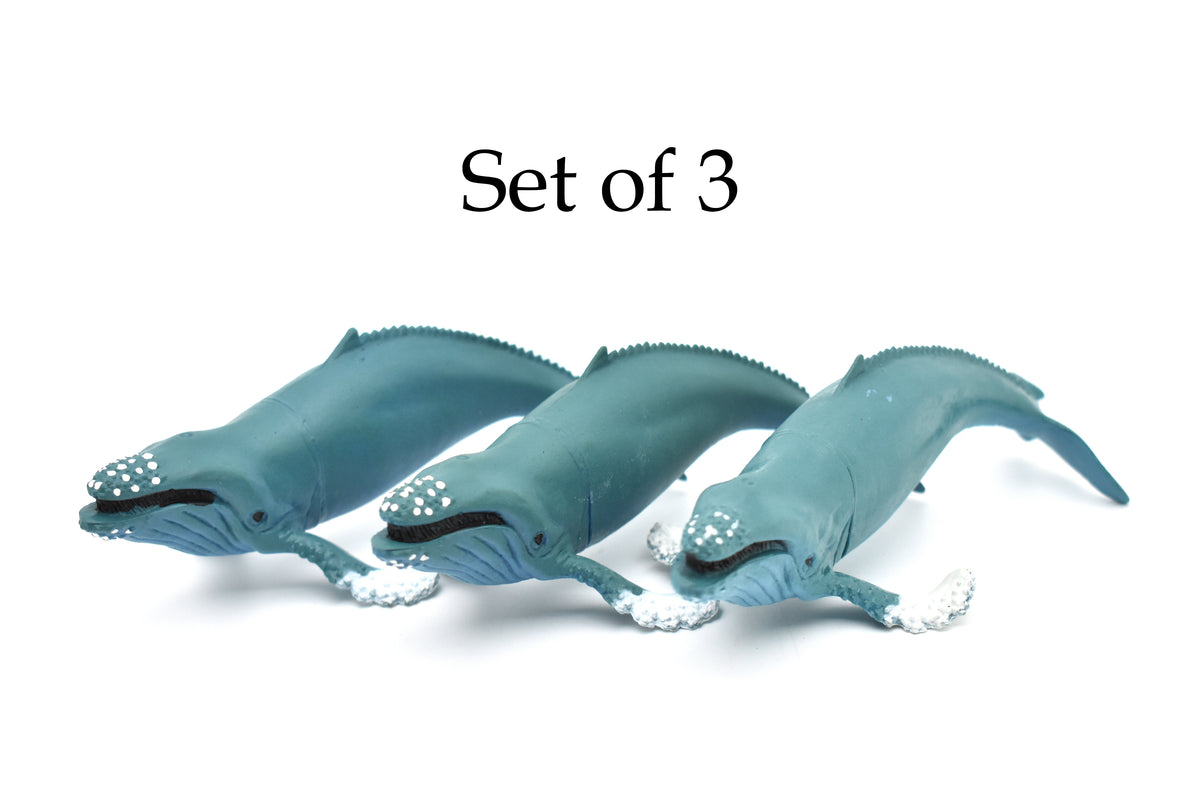 Humpback Whale, Marine Mammal, Very Nice Design, Hand Painted, Rubber, Educational, Diorama Model, Realistic Figure, Figurine, Replica, Toy, Kids, Gift,    6 Inches.    F473 B5
