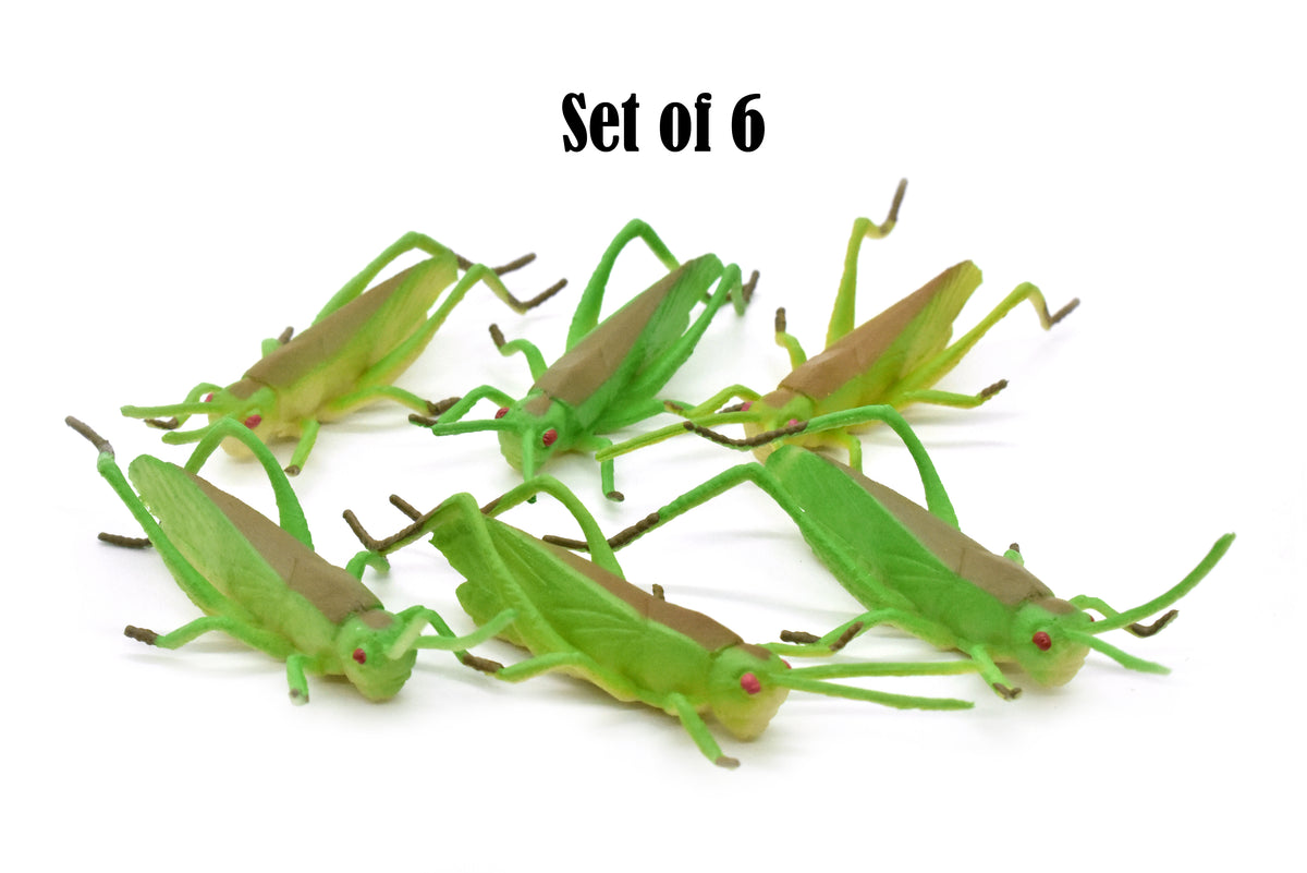 Grasshopper, Rubber Insect, Toy, Realistic Figure, Model, Replica, Kids Educational Gift,   3.25 inches Length - F1051 B190