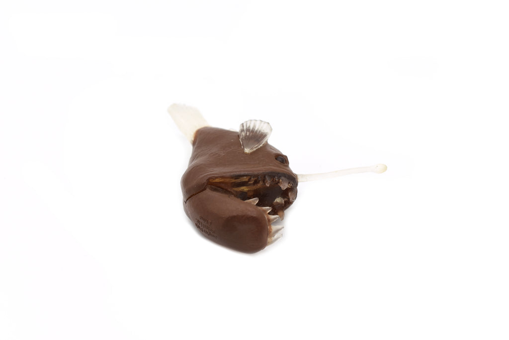 AnglerFish, Monkfish or Goosefish, Plastic Fish Design, Realistic Figure, Educational, Figure, Lifelike, Toy Model, Figurine, Replica, Gift,      2 3/4"     F3678 B10