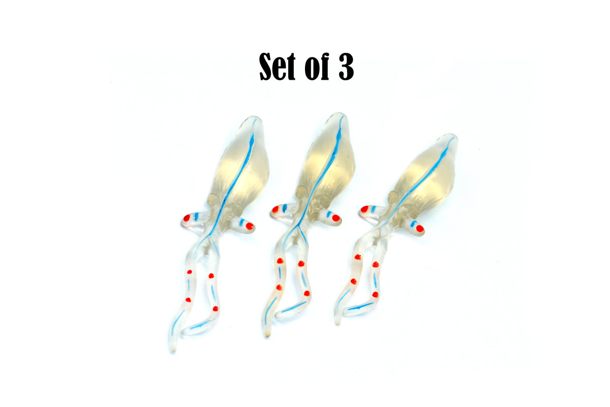 Glass Squid, Clear Color, Very Nice Plastic Replica, Educational, Realistic, Figure, Lifelike Figurine, Replica, Gift,       3 1/2"       F3677 B10