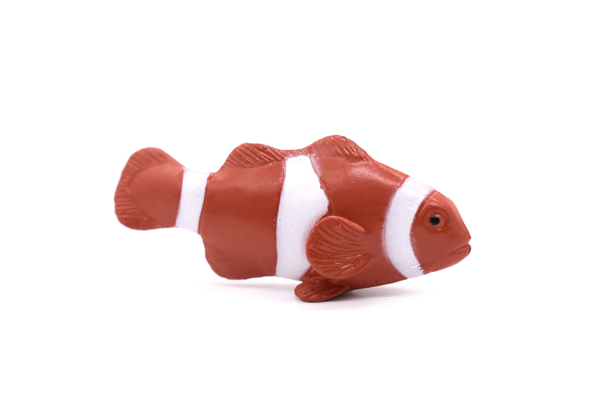 Clownfish, Reef Anemonefish, Rubber Fish Design, Realistic Figure, Educational, Figure, Lifelike, Toy Model, Figurine, Replica, Gift,       2 1/4"     1788 B145