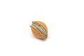 Shell, Cowrie Cowry Shell, Plastic Figure, Model, Realistic Replica, Educational, Figurine, Animal, Life Like, Gift,      1 1/2"     F1791 B145
