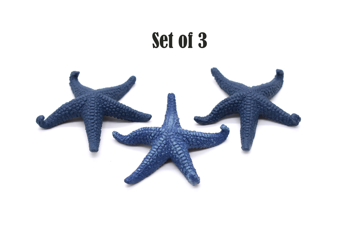 Starfish, Blue Sea Star, Echinoderms,  Asteroidea, Ocean, Sea Life, Plastic Figure, Model, Realistic Replica, Educational Toy, Life Like, Gift,         2"       F1796 B145