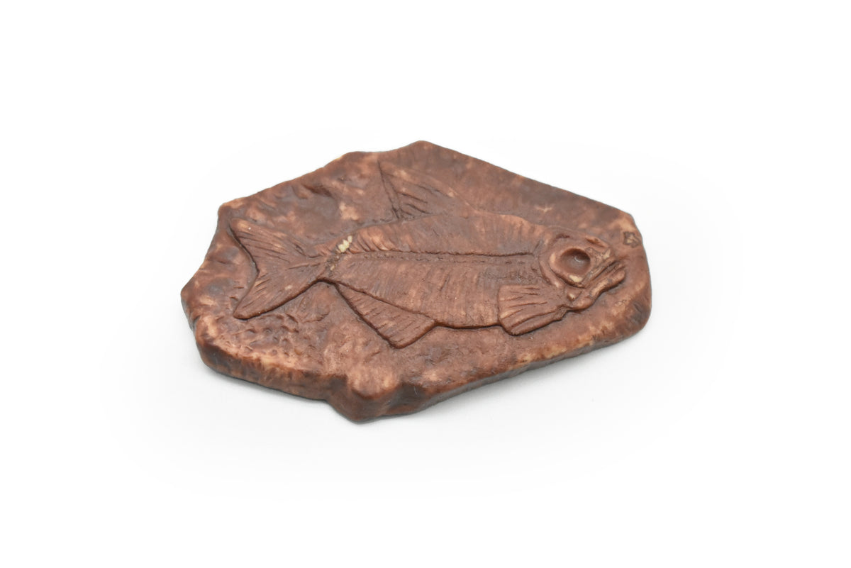 Frog Fossil Skeleton, Eopelobates, Dark Color, Very Nice Plastic Reproduction   2"    F4103L B96
