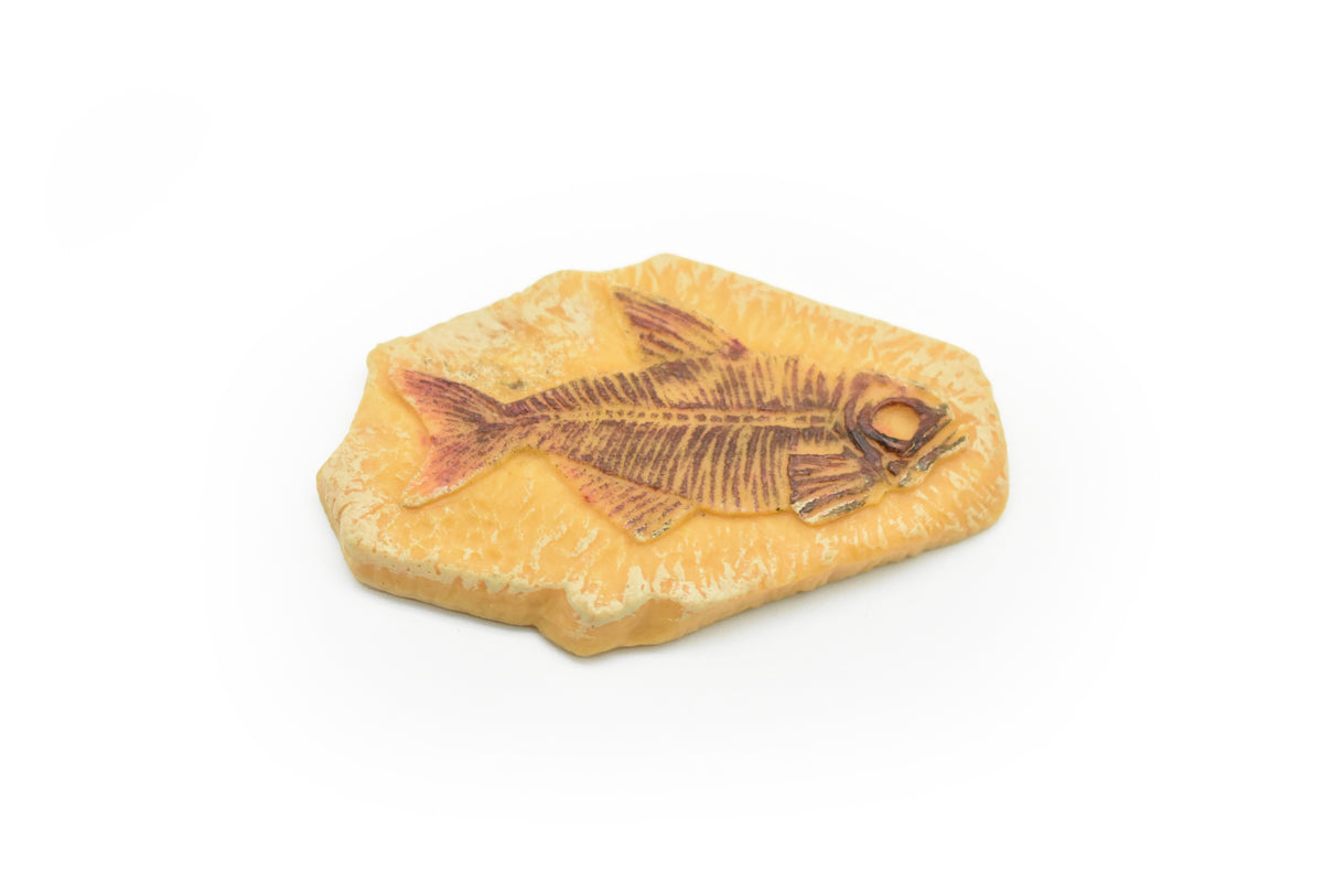 Frog Fossil Skeleton, Eopelobates, Dark Color, Very Nice Plastic Reproduction   2"    F4103L B96