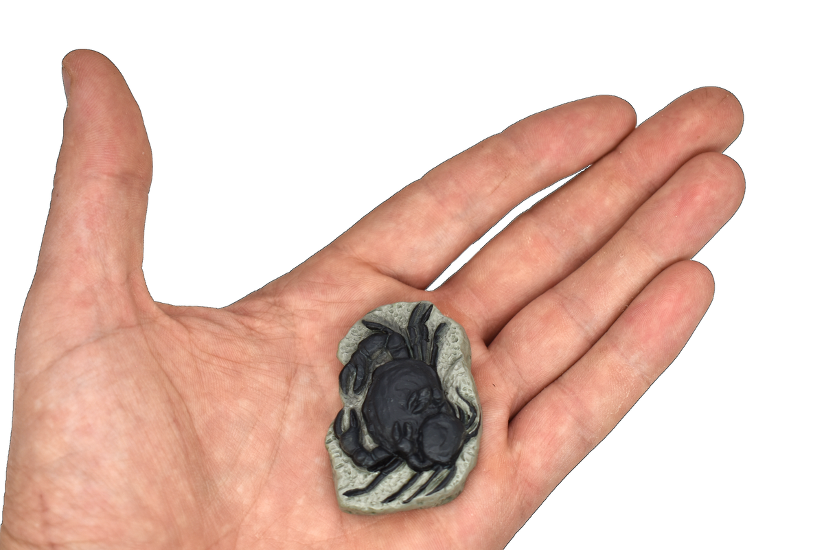 Crab, Pulalius Fossil, Light Color, Very Nice Plastic Reproduction,   2"   F4104L B96
