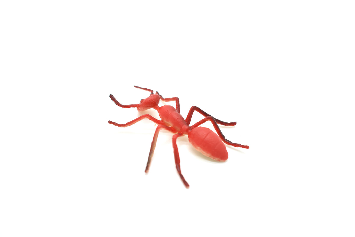 Ant, Red, Fire Very Nice Plastic Reproduction        2 1/2"  -   F1054 B190