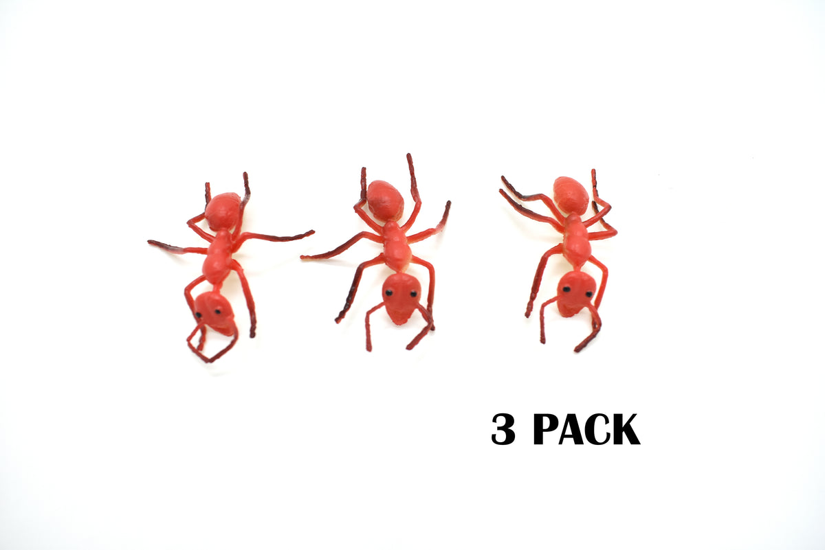 Ant, Red, Fire Very Nice Plastic Reproduction        2 1/2"  -   F1054 B190