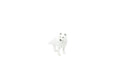 Fox, Arctic, White, Very Nice Plastic Animal, Educational, Toy, Kids, Realistic Figure, Lifelike Model, Figurine, Replica, Gift,    2"     F3500 B67