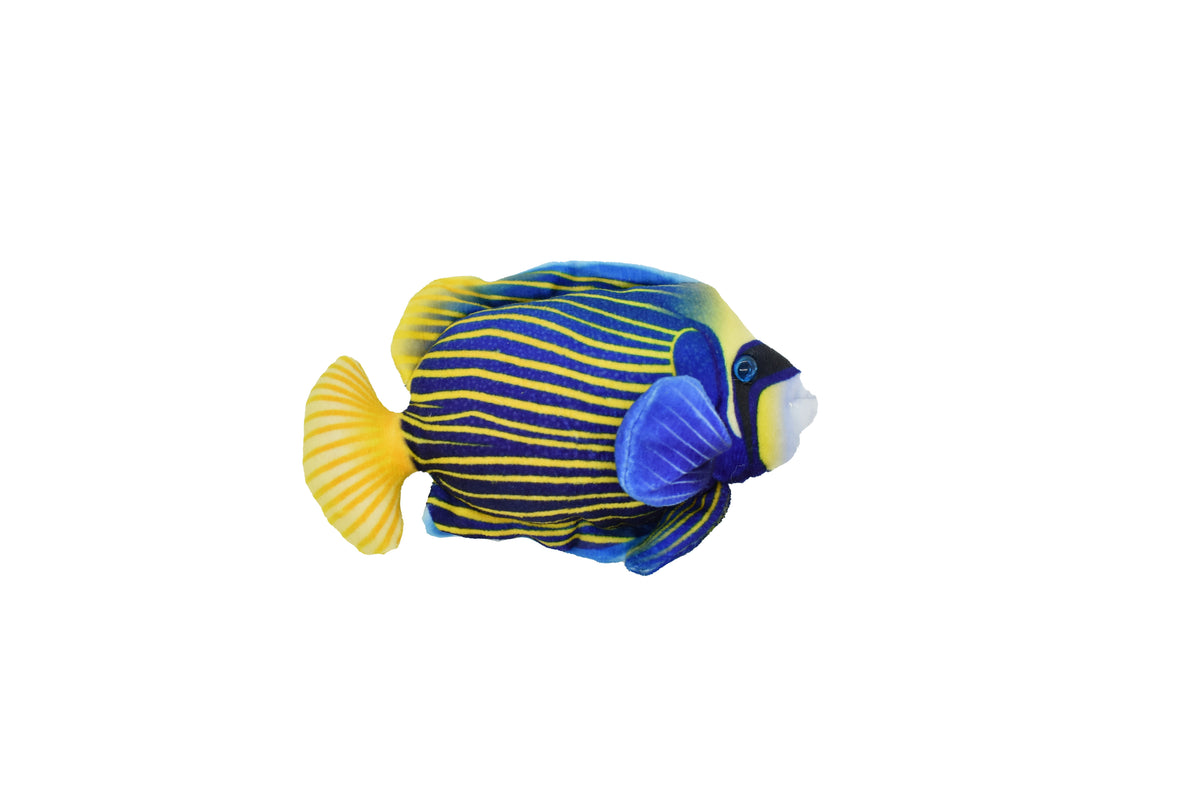 AngelFish, Pterophyllum, Ciclids, Tropical Fish Magnet, Fish Design, Realistic Figure, Educational, Figure, Lifelike,  Model, Figurine, Replica, Gift,    5 1/2 Inches.  CWG30 BB3