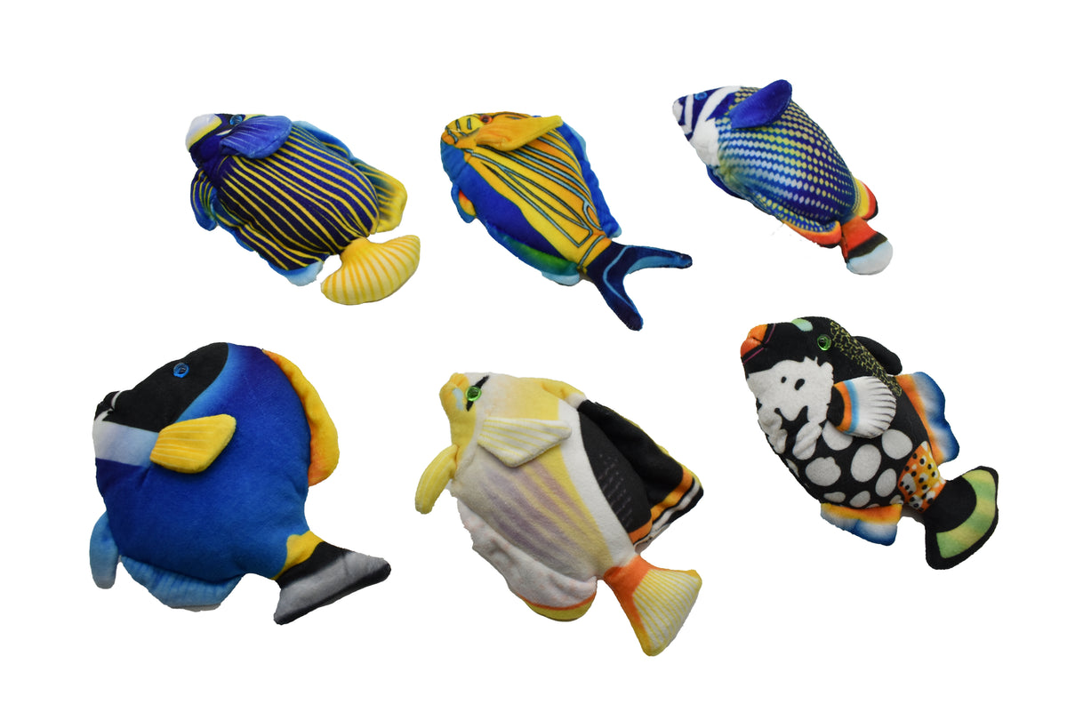 AngelFish, Pterophyllum, Ciclids, Tropical Fish Magnet, Fish Design, Realistic Figure, Educational, Figure, Lifelike,  Model, Figurine, Replica, Gift,    5 1/2 Inches.  CWG30 BB3