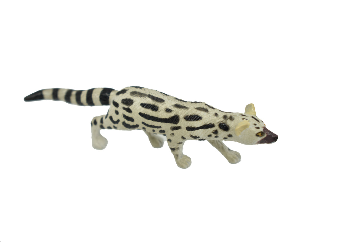 Abyssinian genet, Ethiopian genet or the Abyssinian civet, Hand Painted, Realistic, Very Nice Rubber Design, Educational, Diorama Model, Lifelike, Toy, Gift,    3 Inches.    F1070 B175