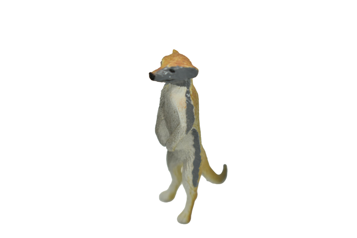Meerkat, Standing, Suricata suricatta, Hand Painted, Realistic, Very Nice Rubber Design, Educational, Diorama Model, Lifelike, Toy, Gift,   2 1/4 Inches Tall.     F1074 B175
