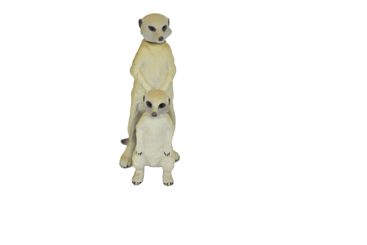 Meerkat, Mother and Baby, Suricata suricatta, Very Nice Plastic Animal, Hand Painted, Realistic, Educational, Figure, Lifelike, Diorama Model, Replica, Toy, Gift,   2 Inches.      F092 B383