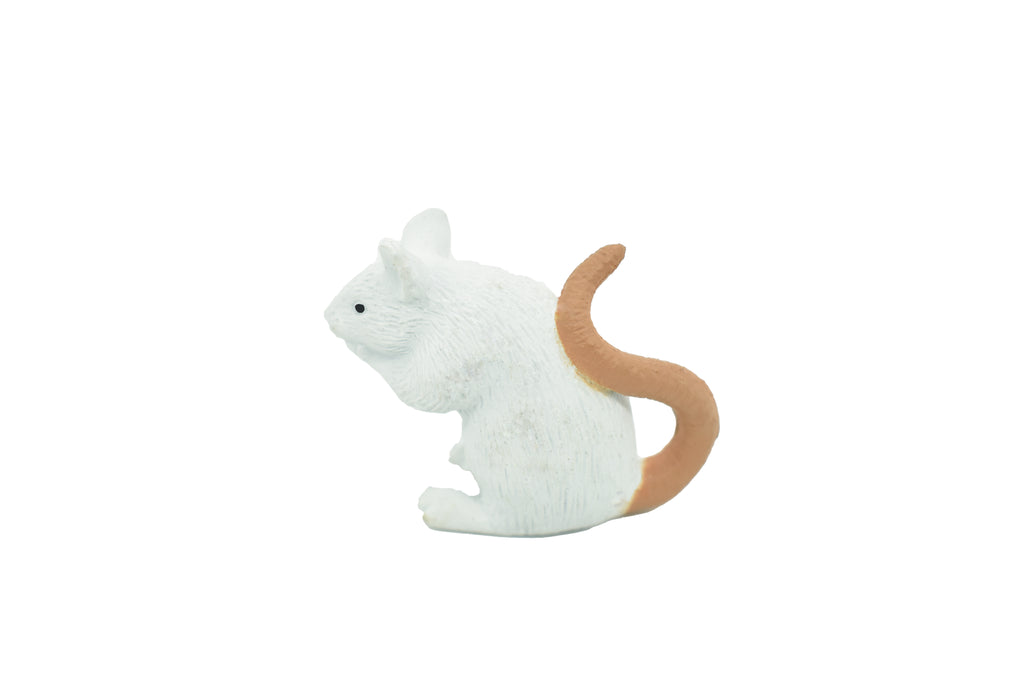Mouse, White, Rubber Mouse, Educational, Realistic, Hand Painted, Figure, Lifelike Model, Figurine, Replica, Gift,   1 1/2"   F1674 B63