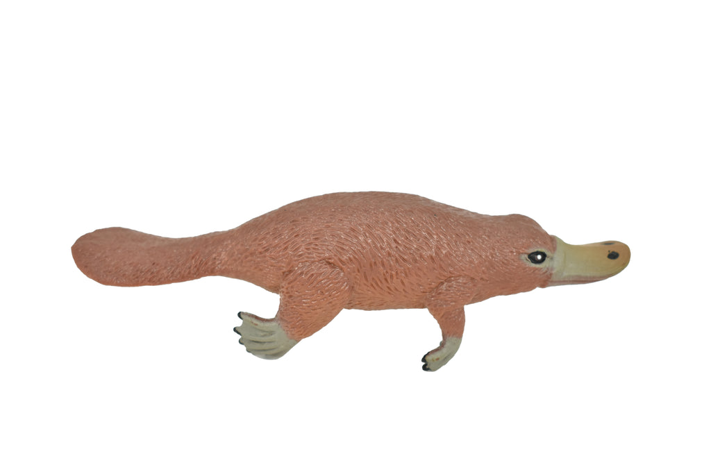 Platypus, ~ Very Nice Plastic Replica  3 1/2"  ~ F1091-B170