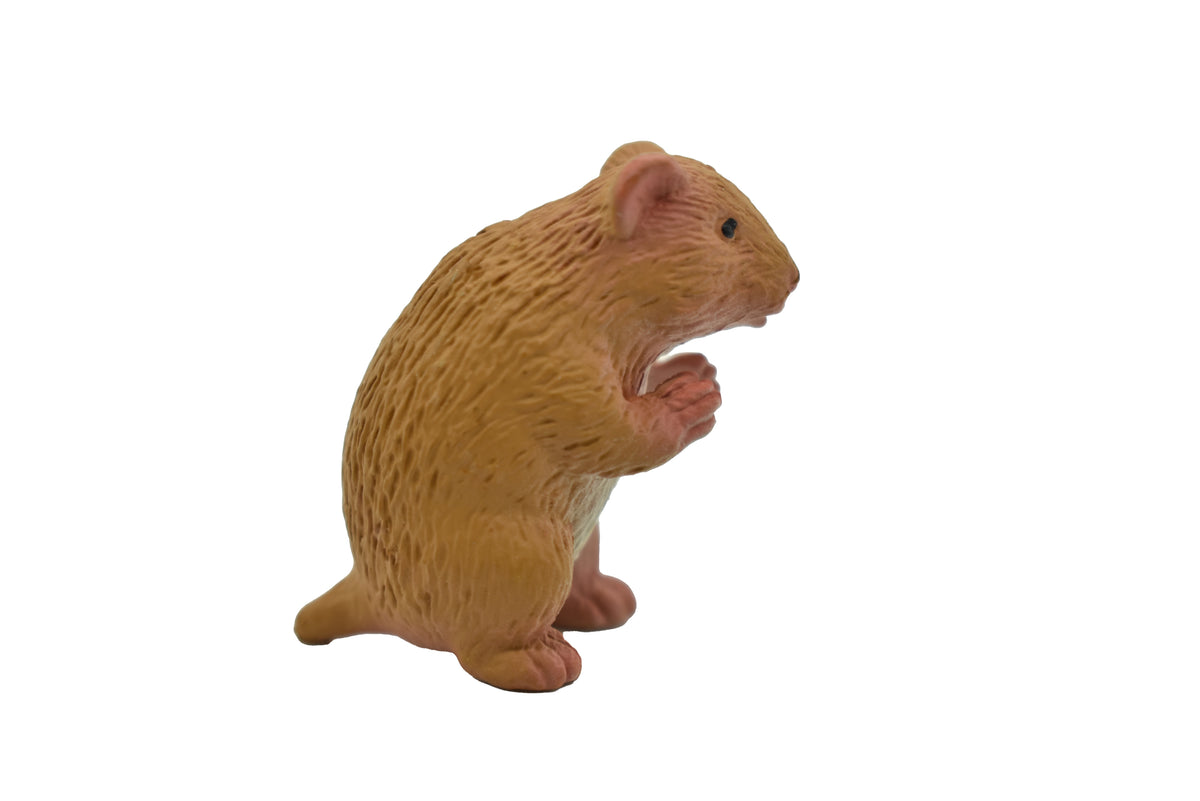 Hamster, Hammy, Rubber Animal, Educational, Realistic, Hand Painted, Figure, Lifelike Model, Figurine, Replica, Gift,    1 1/2"     F1677 B63