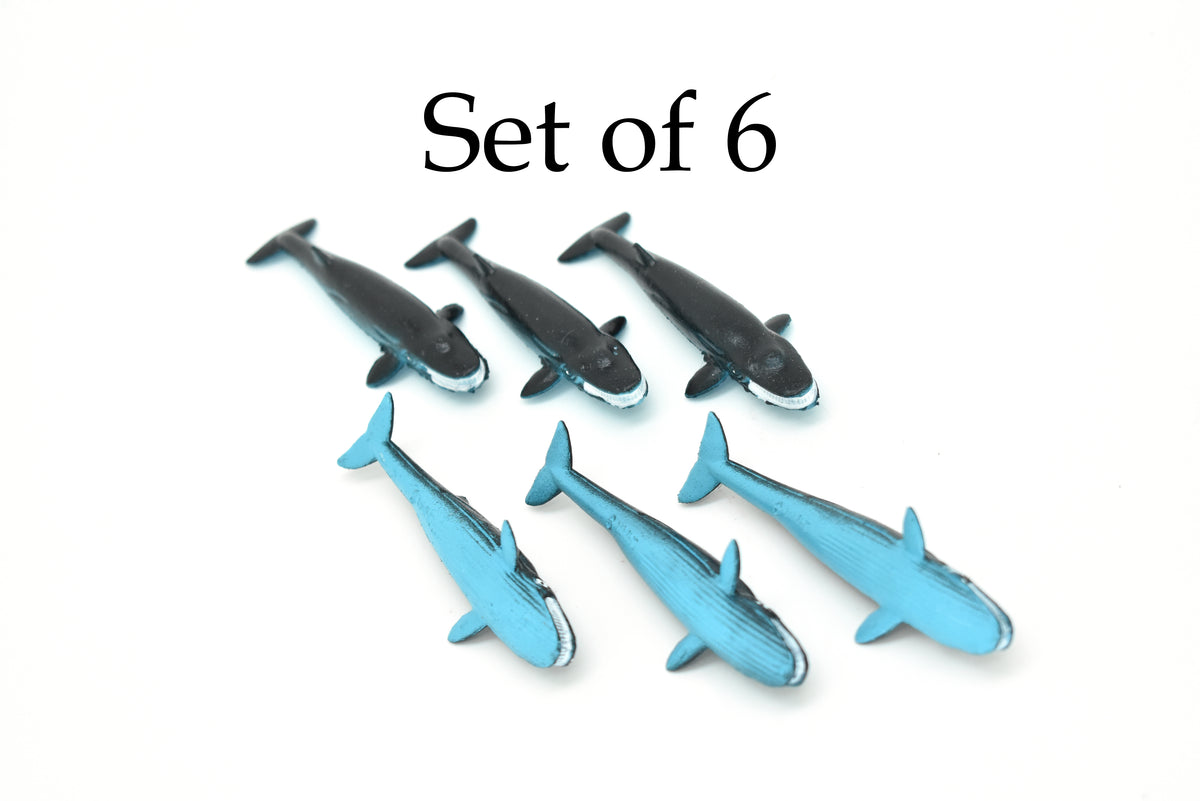 Baleen Whale, Very Nice Plastic Replica    3"  -  F603 B36